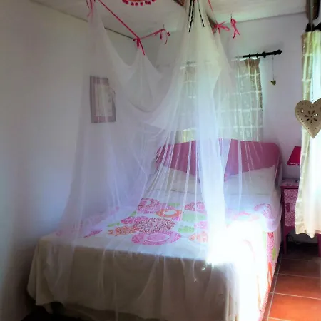 Casa Da Casimira Сasa de vacaciones Miranda do Corvo