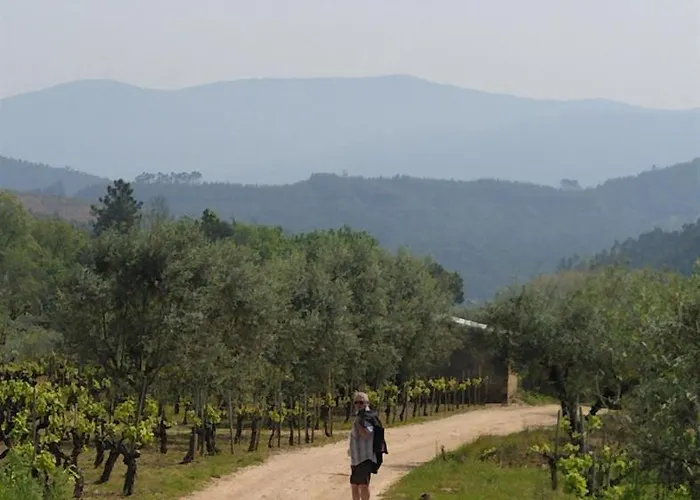 Casa Da Casimira Casa de Férias