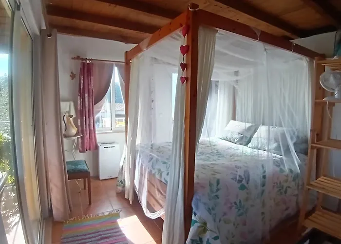 Casa Da Casimira Miranda do Corvo